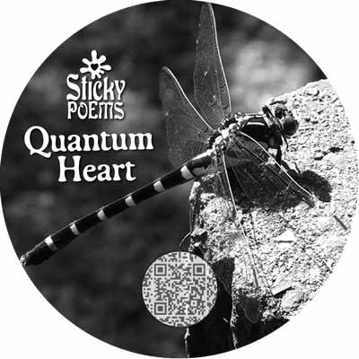 the beauty quantum poem