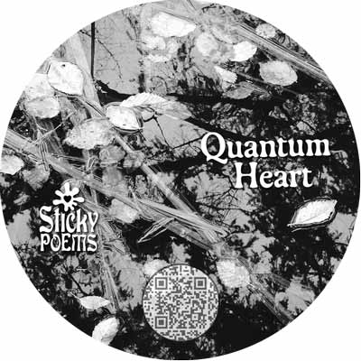 the beauty quantum poem