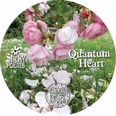 the beauty quantum poem
